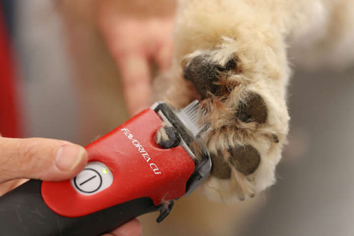 AESCULAP Akkuschermaschine Favorita CLi